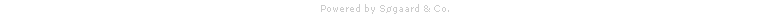 Søgaard & Co. - Mere web for pengene